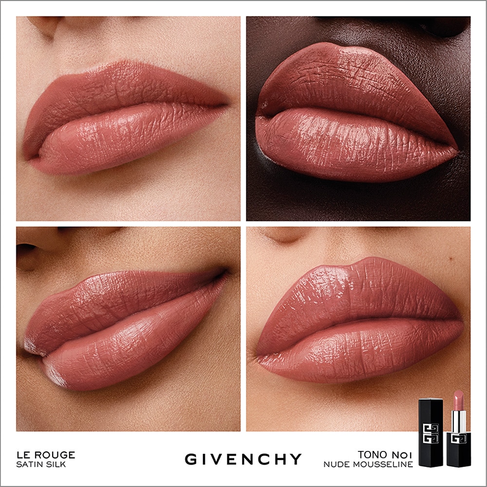 LE ROUGE SATIN SILK (LABIAL DE ALTA DEFINICI&Oacute;N)